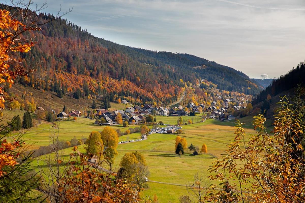 Galeriewohnung In Menzenschwand-Hinterdorf Zewnętrze zdjęcie
